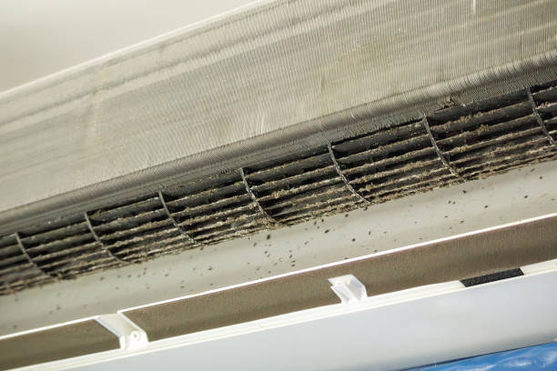 Best Best Air Duct Cleaning Company  in North Miami, FL